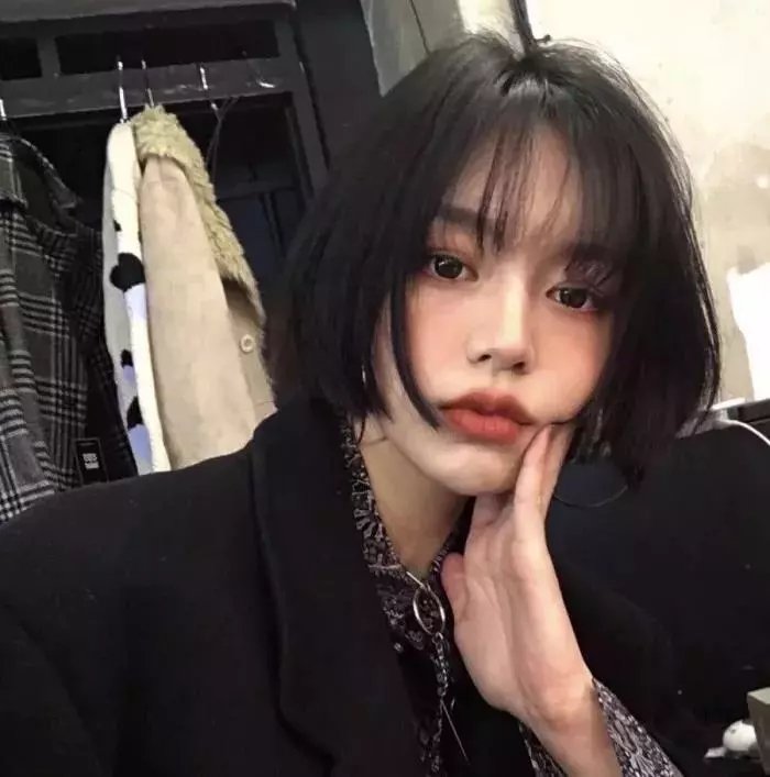 与森林共舞